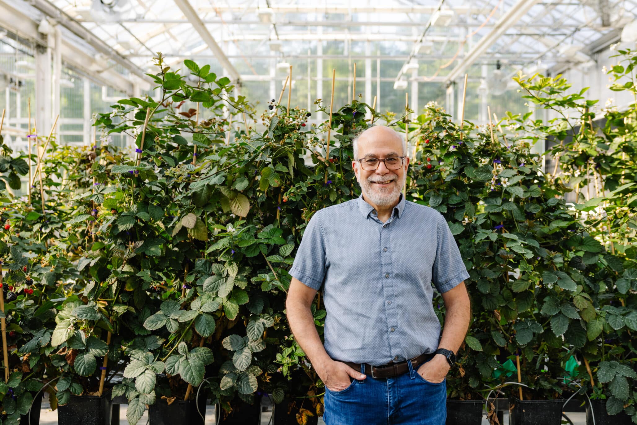 Where Gene Editing in Agriculture Meets Consumer Value
