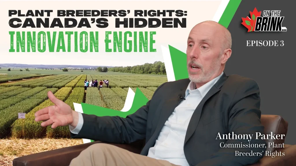 Anthony Parker, Commissioner of Plant Breeders' Rights, discusses why new cereal varieties in Canada are declining during On the Brink Season 2 Episode 3, with a cereal research field visible in the background.
