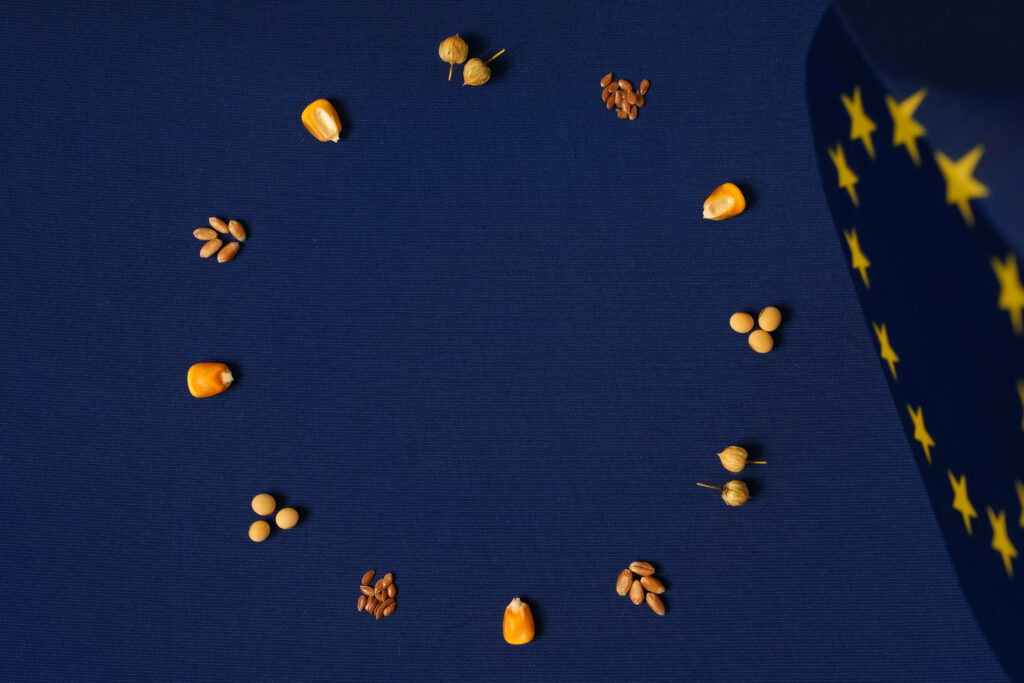 circular layout of corn kernels, soybeans, wheat grains, and flax seeds on blue background. European Union flag. EU agricultural policy, farming standards, organic production.