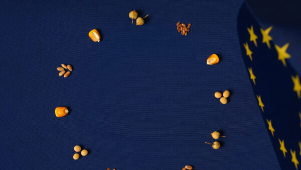 circular layout of corn kernels, soybeans, wheat grains, and flax seeds on blue background. European Union flag. EU agricultural policy, farming standards, organic production.