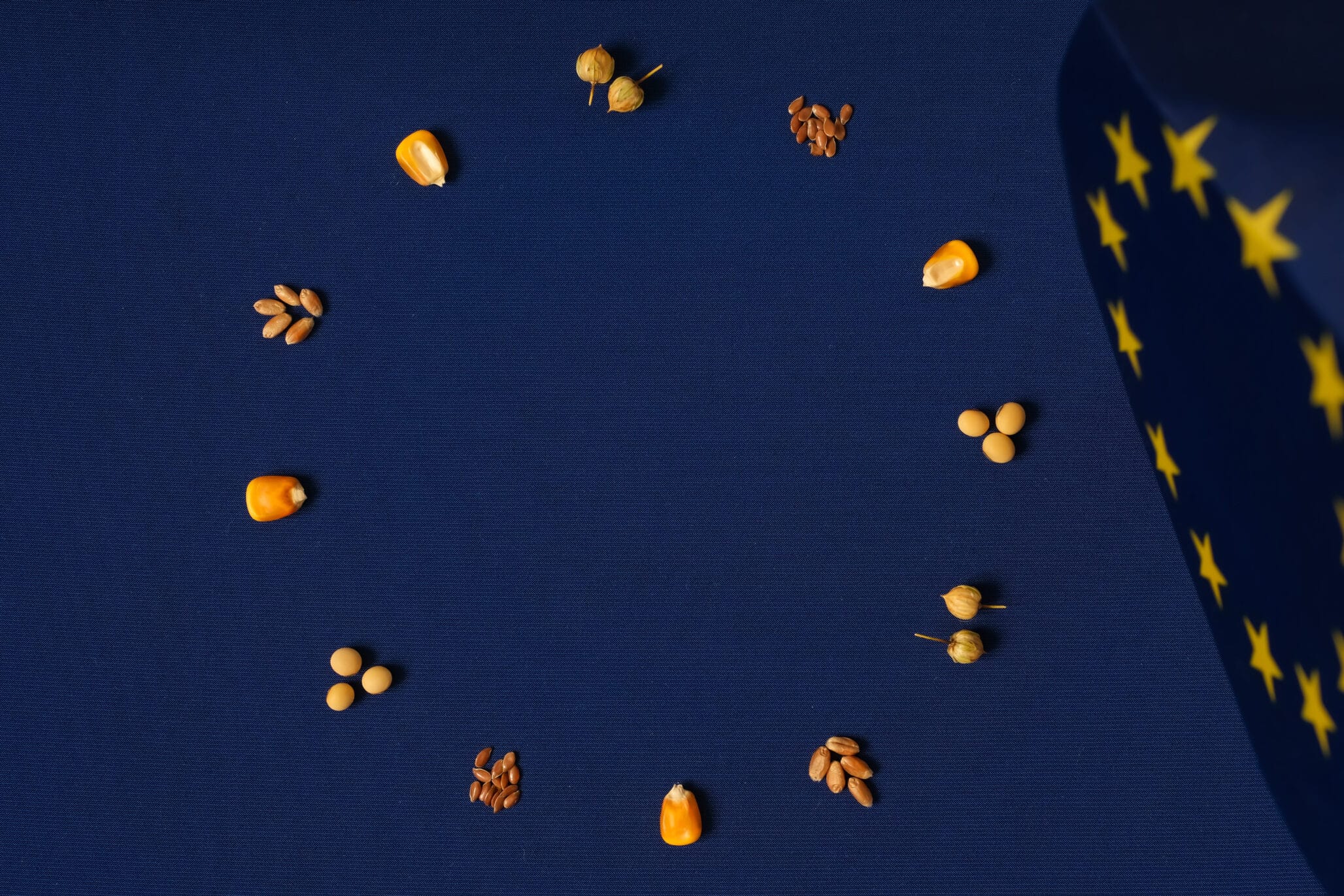 circular layout of corn kernels, soybeans, wheat grains, and flax seeds on blue background. European Union flag. EU agricultural policy, farming standards, organic production.