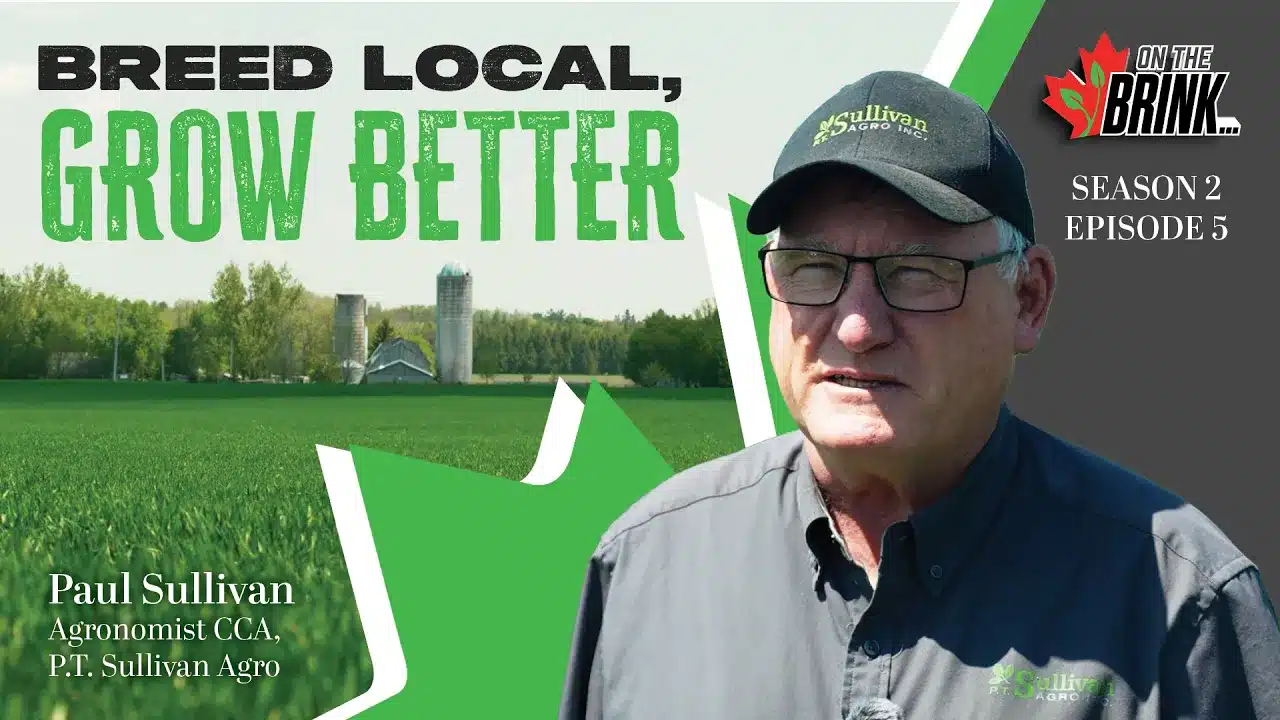 Agronomist Paul Sullivan of P.T. Sullivan Agro in a green Eastern Ontario crop field, from the On The Brink episode on local plant breeding