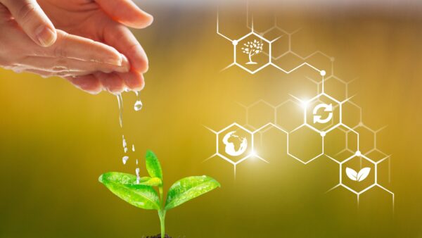 Hand planting green plant with technology resources