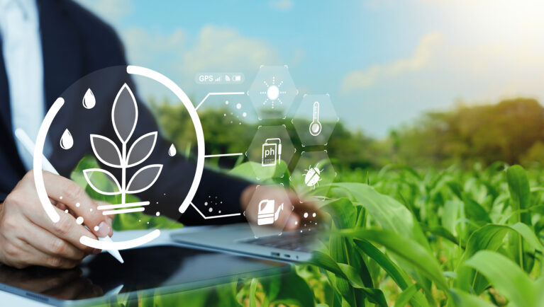 Digital agriculture tools and predictive plant breeding technology help researchers improve crop performance and accelerate innovation.
