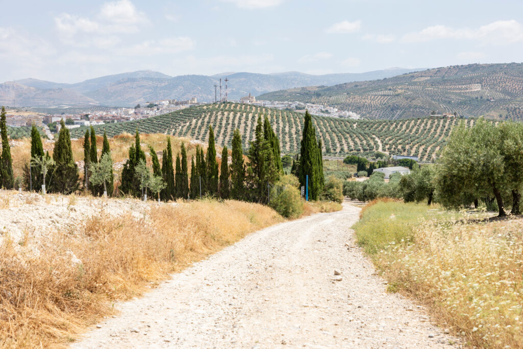 gravel road in a rural landscape overlooking the city of Baena, province of Cordoba, Andalusia, Spain