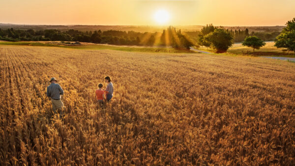 Farm family standing in a wheat field at sunset representing the future of seed industry innovation