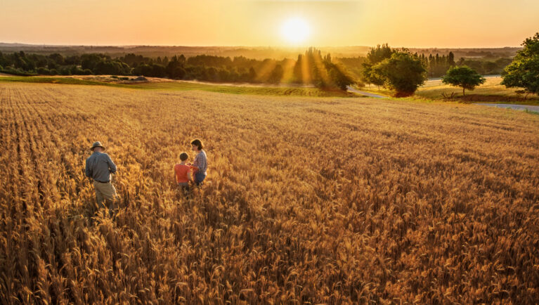 Farm family standing in a wheat field at sunset representing the future of seed industry innovation