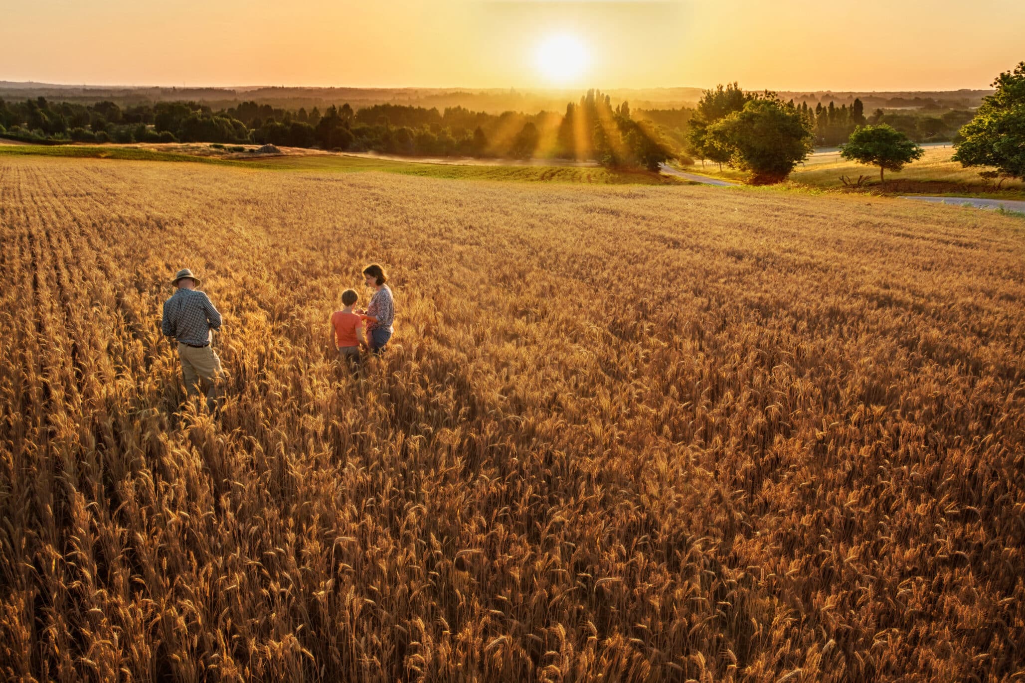 Farm family standing in a wheat field at sunset representing the future of seed industry innovation