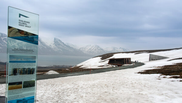Svalbard Seed Vault