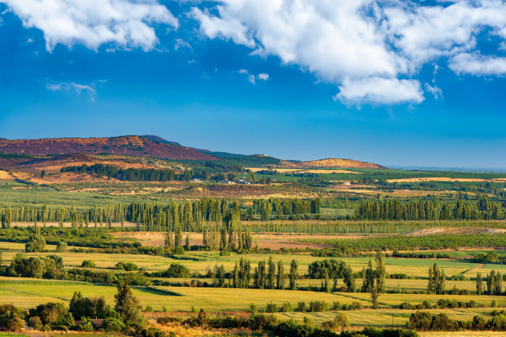 Crop fields and farms at Region del Maule in southern Chile