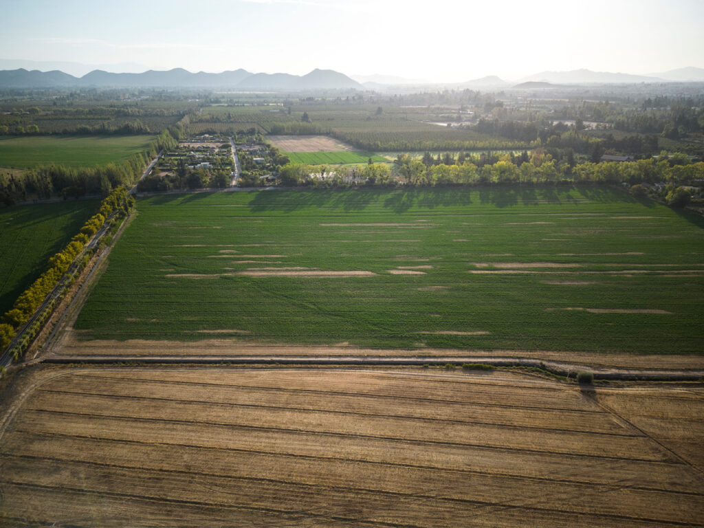 Chile is strengthening its biotechnology seed industry role through climate diversity, technical expertise and global seed research.
