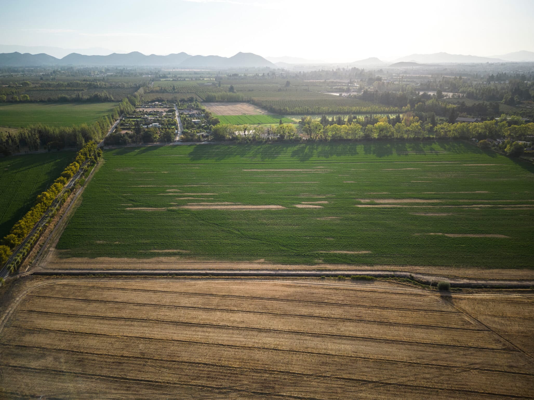 Chile Grows as Biotechnology Seed Industry Hub