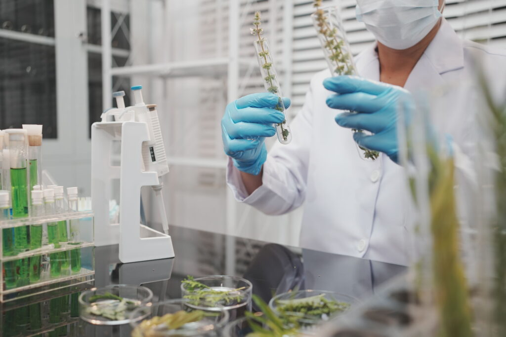 Advanced plant imaging