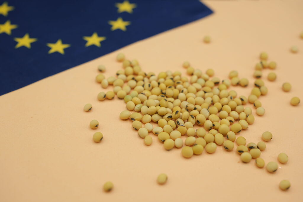 Soybeans and the European Union Flag. Reducing Dependence on Imported Soy, Providing the European Union with a Protein Source, and Promoting Environmentally Friendly Agriculture. Photo: Adobe