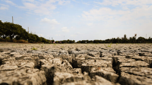 Concept of global warming, hot and dry climate,change climate,land for perennial crops