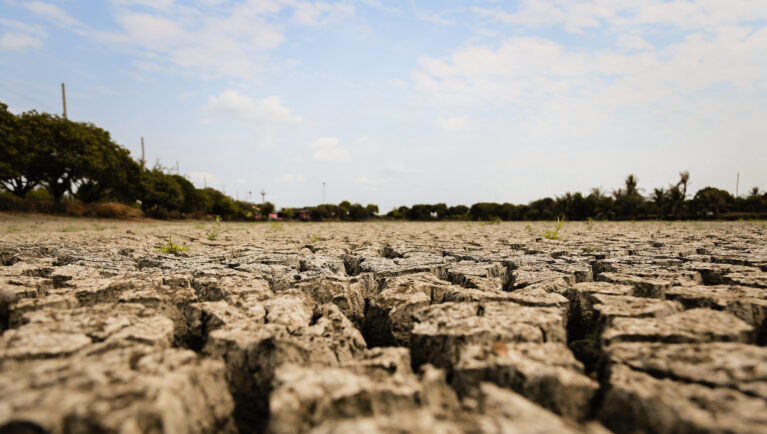 Concept of global warming, hot and dry climate,change climate,land for perennial crops