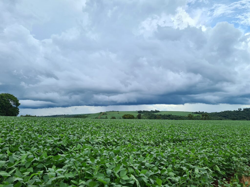 Massive Thunderstorm Formation Above Green Soybean Plantation in Paraguay