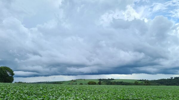 Massive Thunderstorm Formation Above Green Soybean Plantation in Paraguay