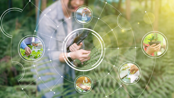 Various photos of Agriculture farmers using computer laptop device technology checking on plants and forest data analysis on plant growth visual icon, cultivating nature reserving environment.