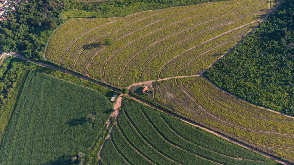 Aerial view of a rural area in Brazil with a corn crop field surrounded by lush greenery