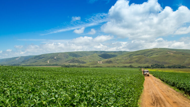 soybean plantation road montain brazil