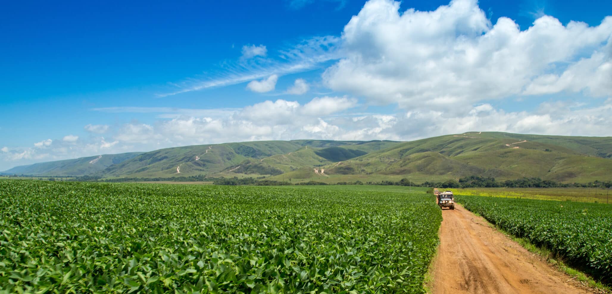 soybean plantation road montain brazil