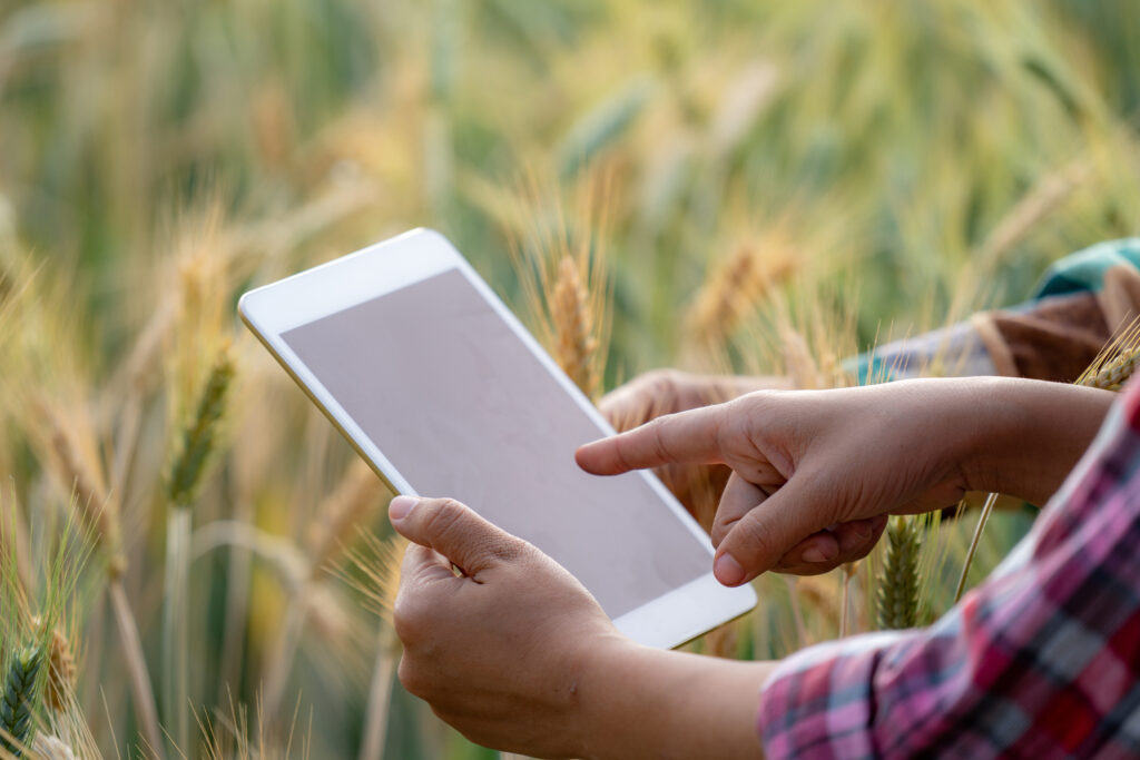 Close up smart asian man and woman farmer hands using digital tablet computer with technology examines barley wheat field. Farmer using internet apps for agricultural production and business industry.