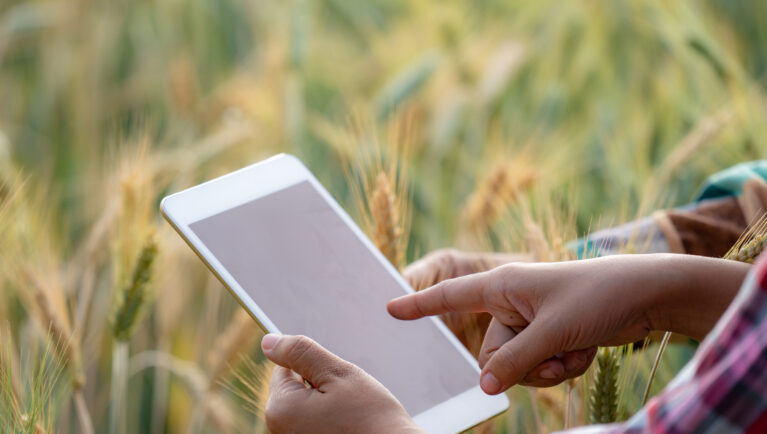 Close up smart asian man and woman farmer hands using digital tablet computer with technology examines barley wheat field. Farmer using internet apps for agricultural production and business industry.