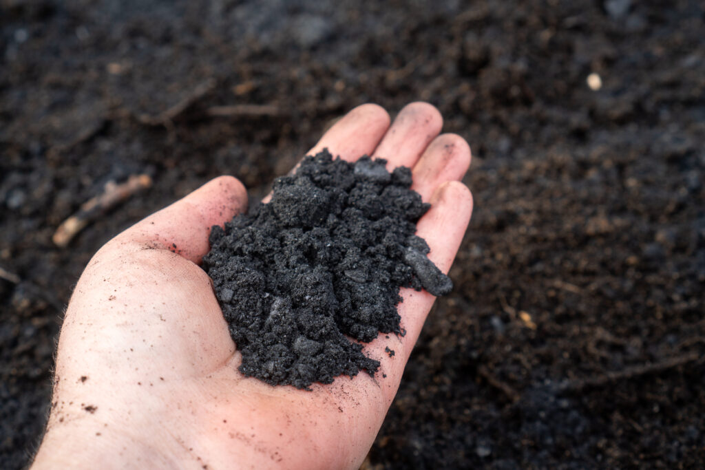 Close-up of biochar for soil improvement in gardening and agriculture.