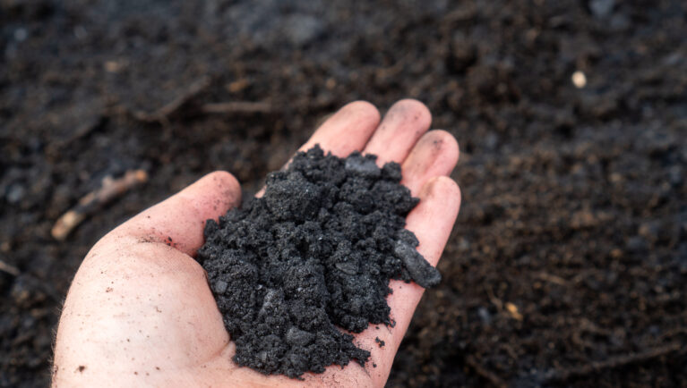 Close-up of biochar for soil improvement in gardening and agriculture.