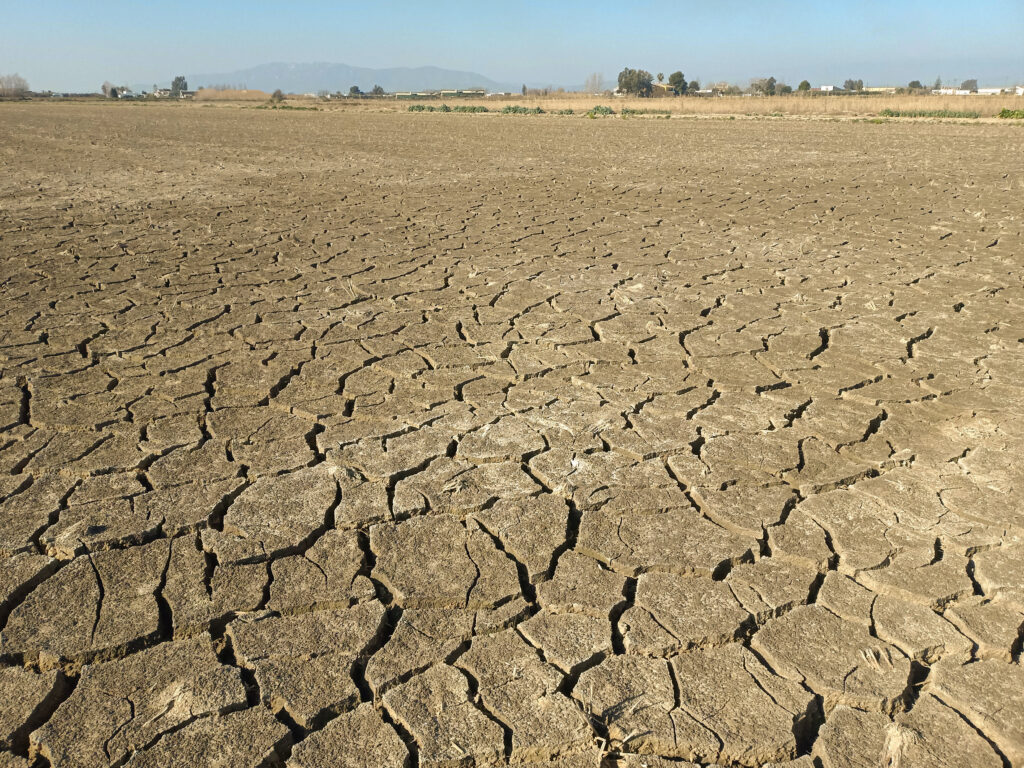 Drought damaged agricultural field with cracked soil and dry landscape