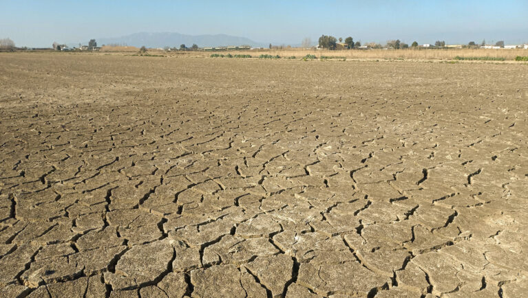 Drought damaged agricultural field with cracked soil and dry landscape