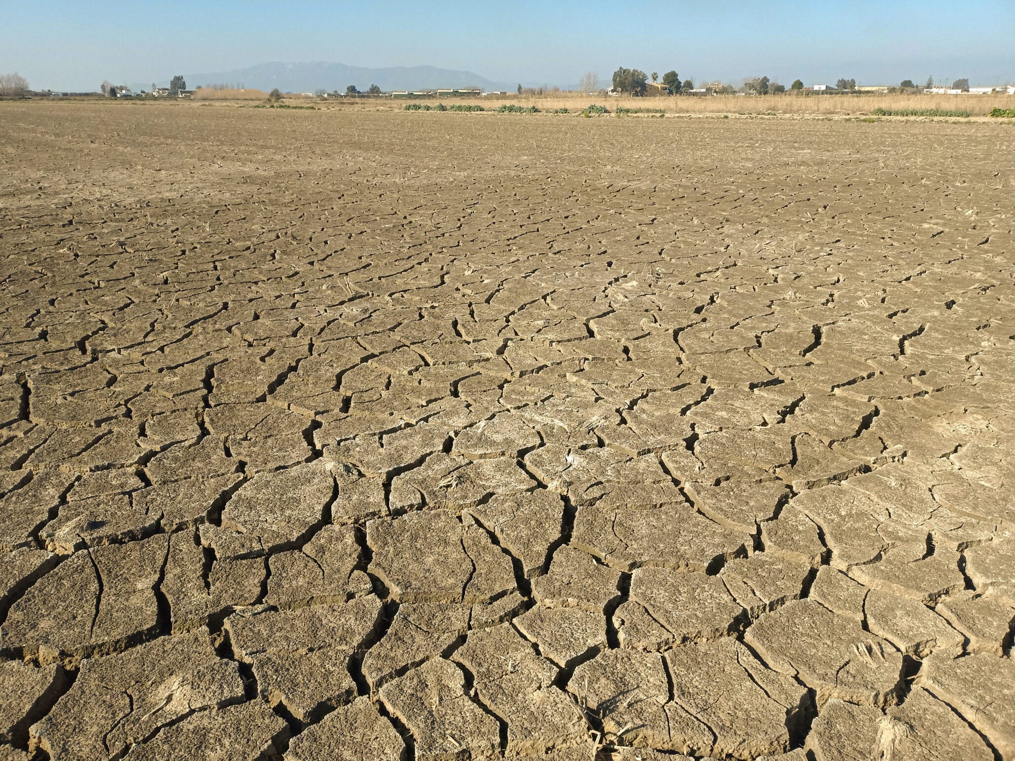 Drought damaged agricultural field with cracked soil and dry landscape