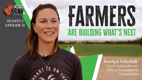 Jocelyn Velestuk standing in front of beef cattle on her farm near Broadview, Saskatchewan, discussing farmer-led wheat breeding