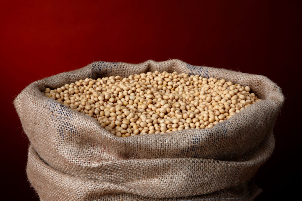Burlap bag filled with soy beans