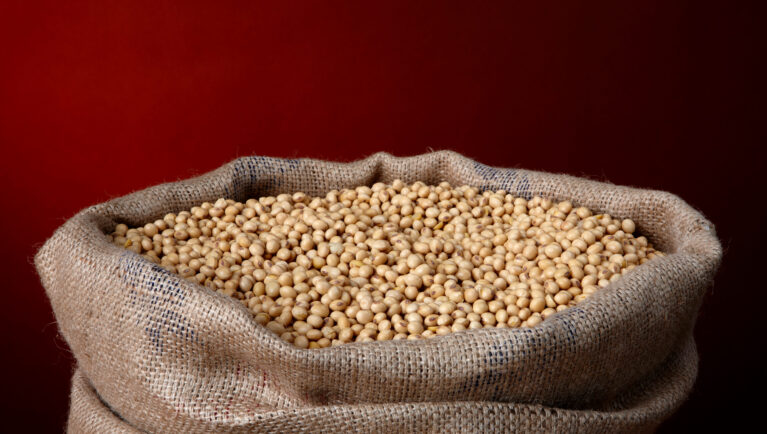 Burlap bag filled with soy beans