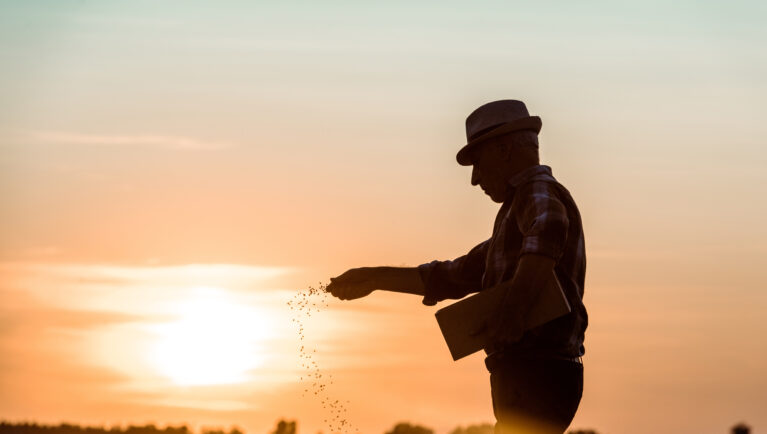 Farmer scattering planting seed in a field at sunset