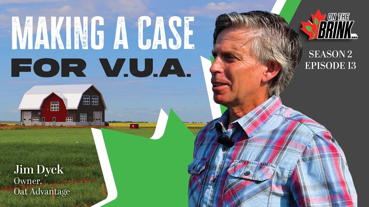 Jim Dyck of Oat Advantage stands in a green oat plot near a red and grey barn, making the case for an oat variety use agreement.
