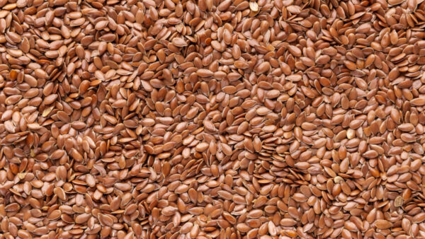 A closeup of flax