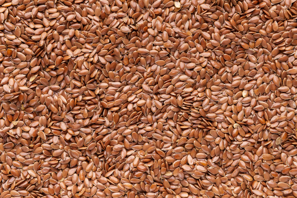 A closeup of flax