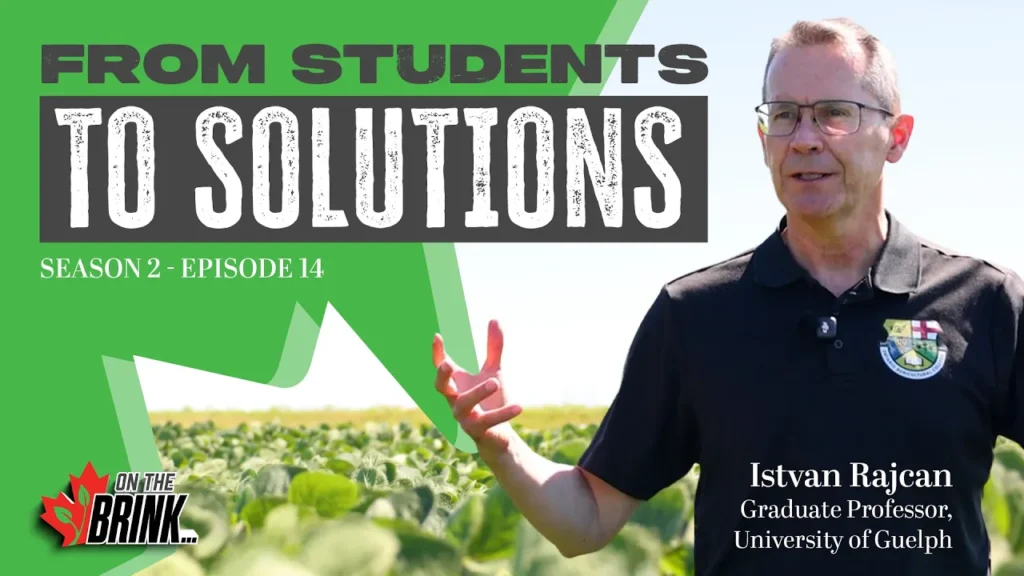 Soybean breeder Istvan Rajcan stands in a soybean field at pod stage in a University of Guelph polo shirt, discussing public-private plant breeding funding.