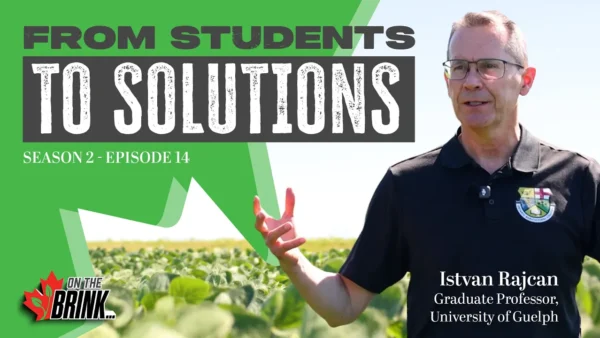 Soybean breeder Istvan Rajcan stands in a soybean field at pod stage in a University of Guelph polo shirt, discussing public-private plant breeding funding.
