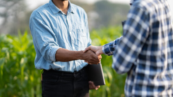 Handshake two farmer with crops field background. The concept of the agricultural business. farmer holding hands after had an agreement in the process.