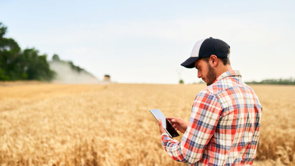 Smart farming using modern technologies in agriculture. Man agronomist farmer holding digital tablet computer standing in a wheat field and using apps, internet for business management and analytics