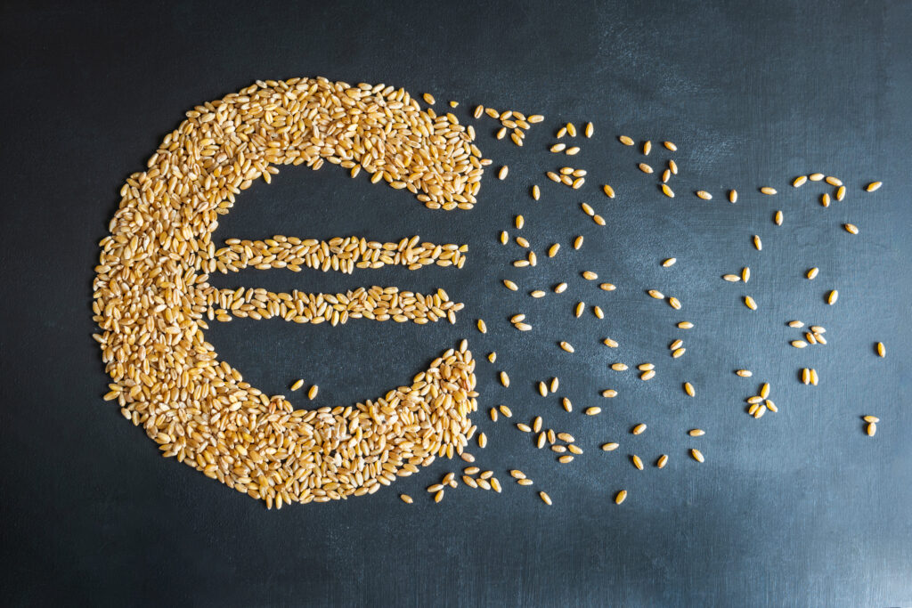 wheat grain euro sign shape concept overhead view