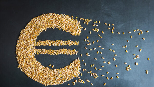 wheat grain euro sign shape concept overhead view