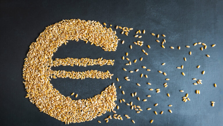 wheat grain euro sign shape concept overhead view