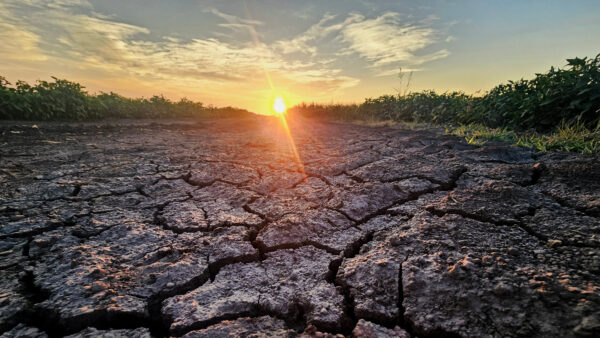 El Nino effects agriculture long term, Droughts impact. Climate change.