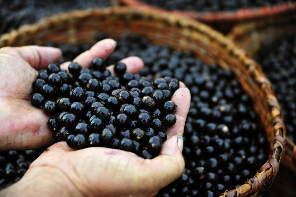 Açaí