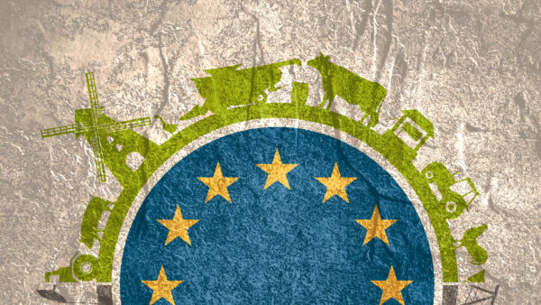 ircle with agricultural and heavy industry icons. Objects located around the circle. Flag of the European Union in the center. Background for eco products. Business responsibility.